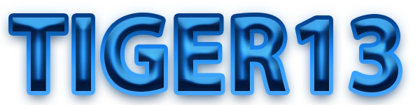 TIGER13 Logo